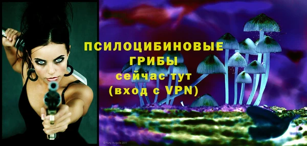 PSILOCYBIN Алексин
