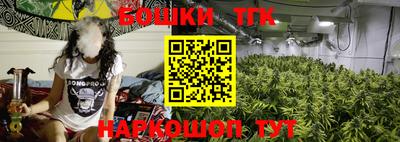 твердый Заводоуковск