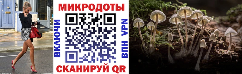 кракен ONION  Протвино  Псилоцибиновые грибы ЛСД  купить наркотик 