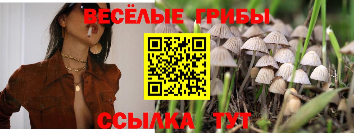 Псилоцибиновые грибы Cubensis  Галлюциногенные грибы Cubensis  Вход с VPN  Протвино 