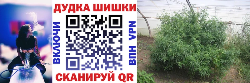 магазин    Протвино  Бошки Шишки план 