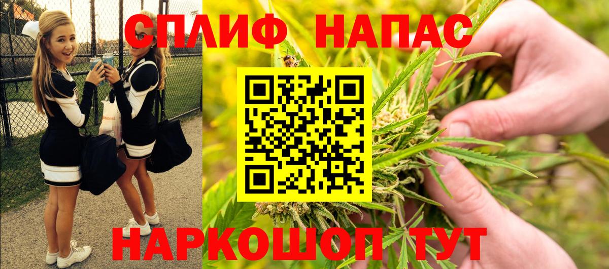 МАРИХУАНА сатива Протвино